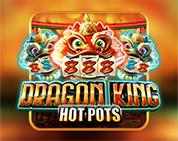 Dragon King Hot Pots